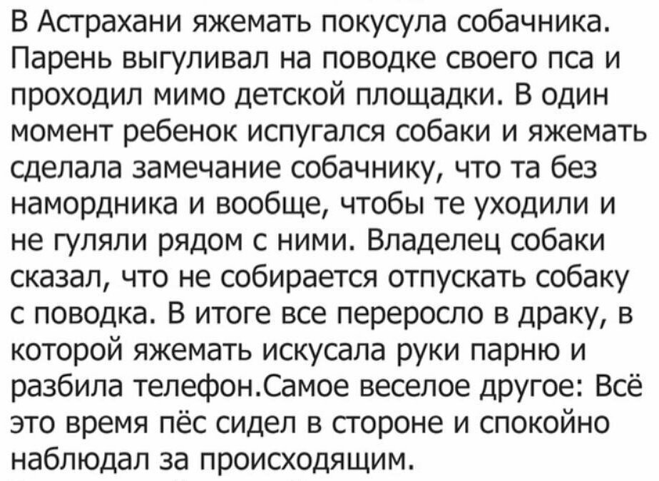 Яжемать истории со слаймами. ЯЖЕМАТЬ приколы. ЯЖЕМАТЬ истории из реальной жизни. Смешные истории про ЯЖЕМАТЕРЕЙ. Истории с яжемамкой.