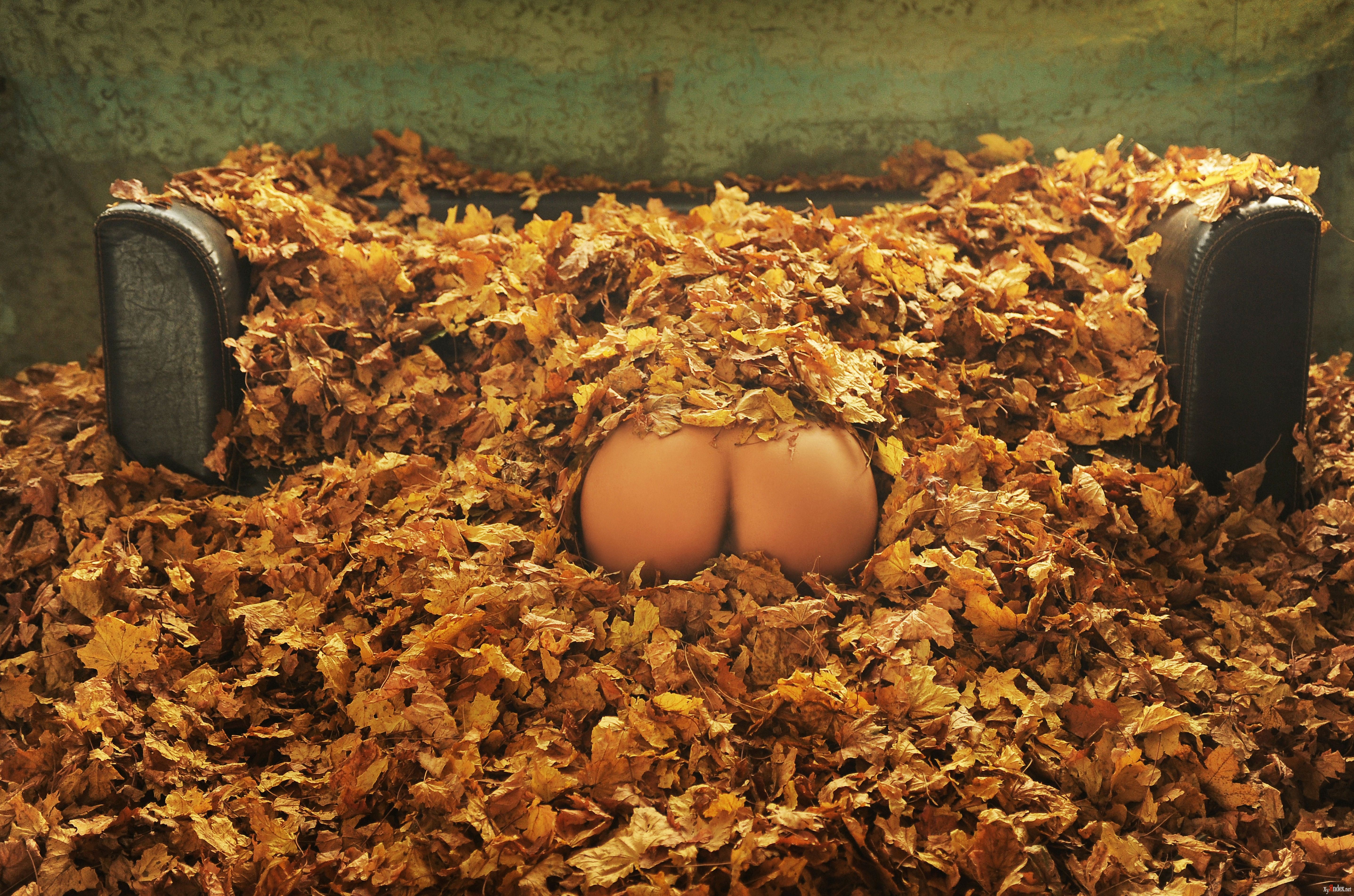 Joy Lamore "Autumn Immersion" (64 фото) .