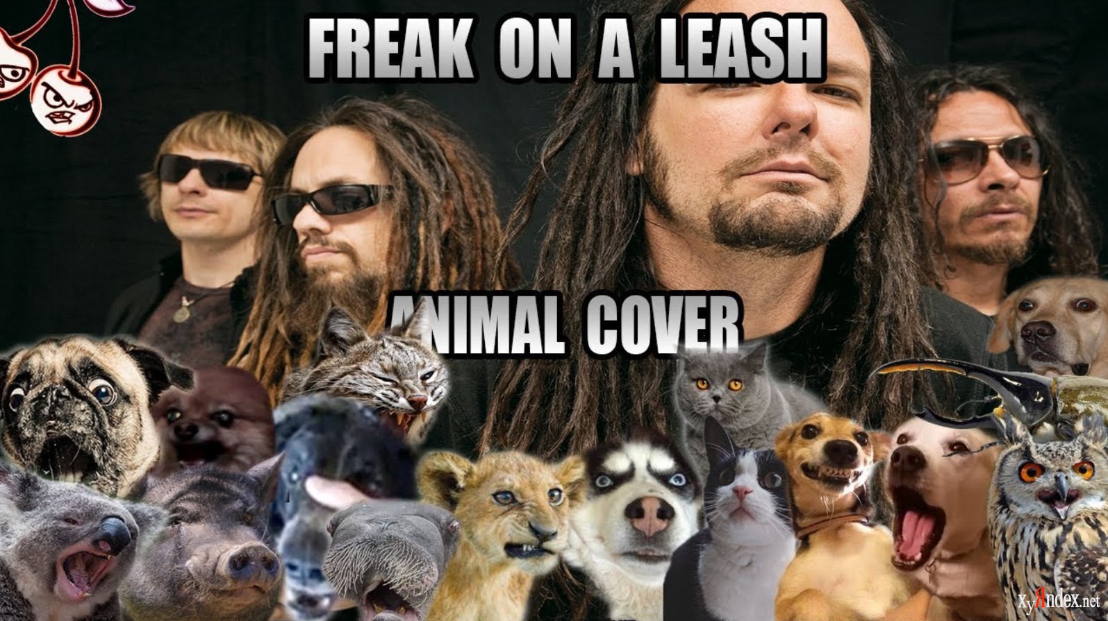 Korn freak on leash. Korn Freak. Freak on a Leash. Korn Freak on a Leash. Freak on a Leash обложка.